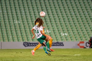 Santos vs Tigres femenil