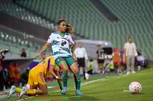 Santos vs Tigres femenil