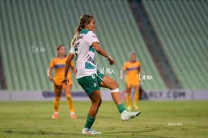 Santos vs Tigres femenil
