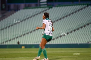 Santos vs Tigres femenil