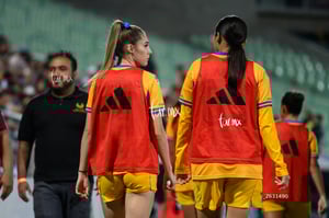 Santos vs Tigres femenil