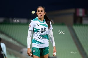 Santos vs Tigres femenil