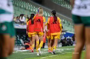 Santos vs Tigres femenil