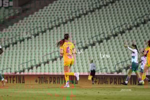 Santos vs Tigres femenil