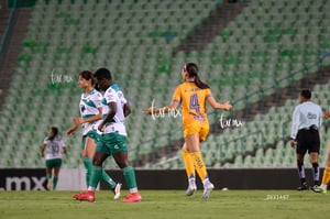 Santos vs Tigres femenil