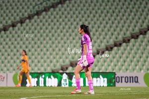 Santos vs Tigres femenil