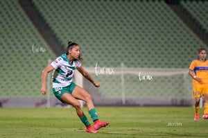 Santos vs Tigres femenil