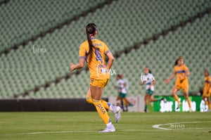 Santos vs Tigres femenil