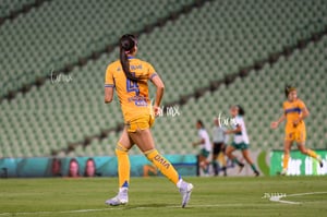 Santos vs Tigres femenil