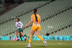 Santos vs Tigres femenil