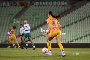 Santos vs Tigres femenil