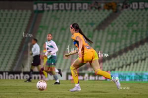 Santos vs Tigres femenil