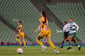 Santos vs Tigres femenil