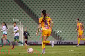Santos vs Tigres femenil