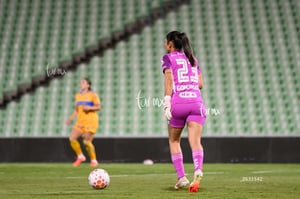 Santos vs Tigres femenil