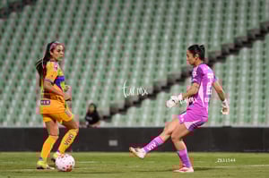 Santos vs Tigres femenil