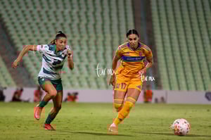 Santos vs Tigres femenil