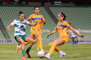 Santos vs Tigres femenil