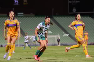 Santos vs Tigres femenil