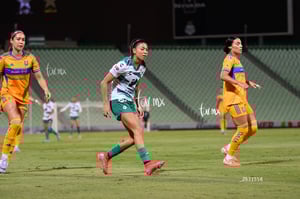 Santos vs Tigres femenil