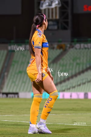 Santos vs Tigres femenil
