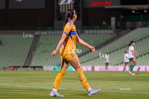 Santos vs Tigres femenil