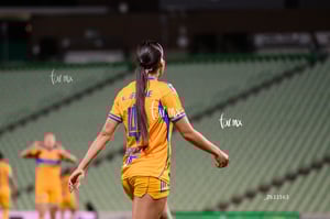 Santos vs Tigres femenil