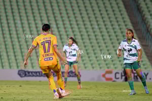 Santos vs Tigres femenil