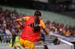 Santos vs Tigres femenil