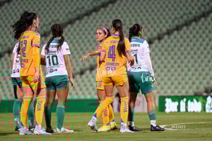 Santos vs Tigres femenil