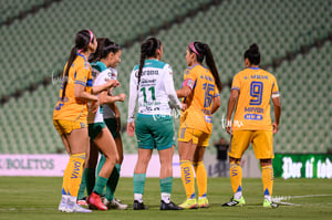 Santos vs Tigres femenil