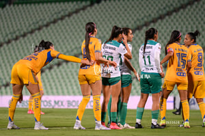 Santos vs Tigres femenil