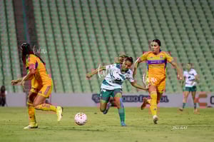 Santos vs Tigres femenil