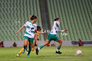 Santos vs Tigres femenil