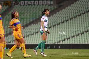 Santos vs Tigres femenil