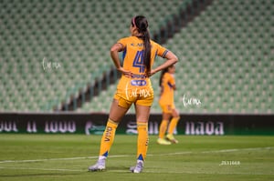 Santos vs Tigres femenil