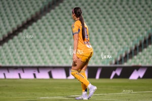 Santos vs Tigres femenil