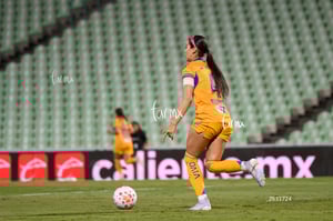 Santos vs Tigres femenil