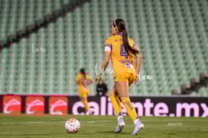 Santos vs Tigres femenil