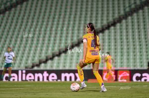 Santos vs Tigres femenil