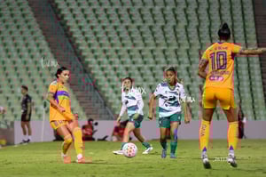 Santos vs Tigres femenil