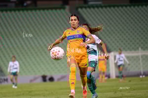 Santos vs Tigres femenil