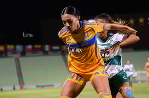 Santos vs Tigres femenil