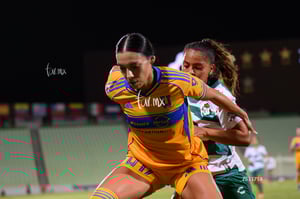 Santos vs Tigres femenil