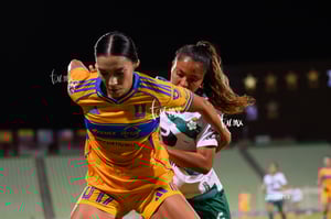 Santos vs Tigres femenil