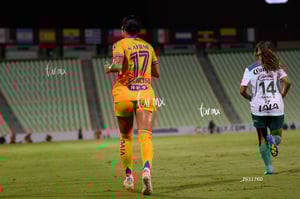 Santos vs Tigres femenil