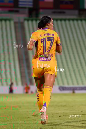 Santos vs Tigres femenil