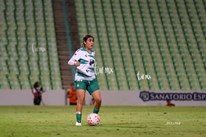 Santos vs Tigres femenil