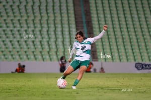Santos vs Tigres femenil