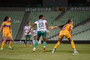Santos vs Tigres femenil